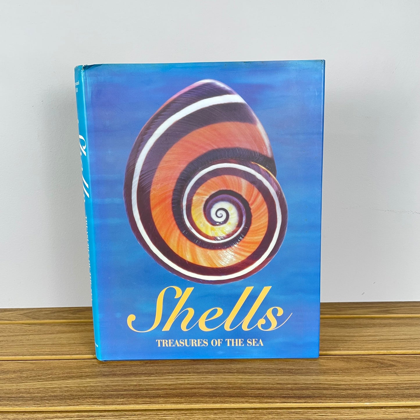 Livro De Fotografias - Shells Treasures Of The Sea